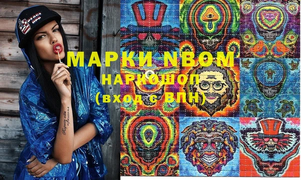 хмурый Зеленокумск