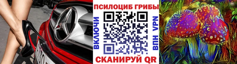 Купить где  Рязань  Галлюциногенные грибы GOLDEN TEACHER 