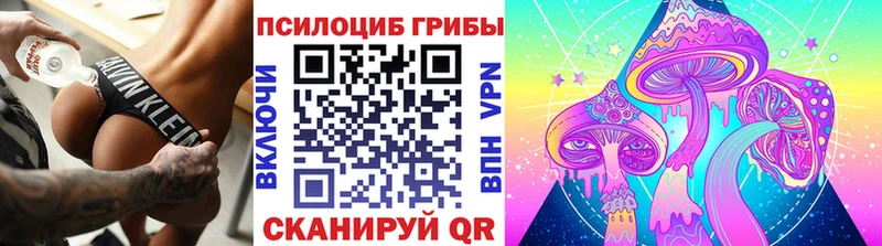 Псилоцибиновые грибы ЛСД Рязань